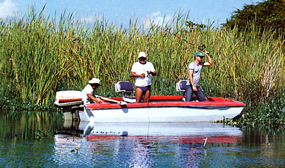 HOTEL PADDLE CUBA hotel paddle cuba: