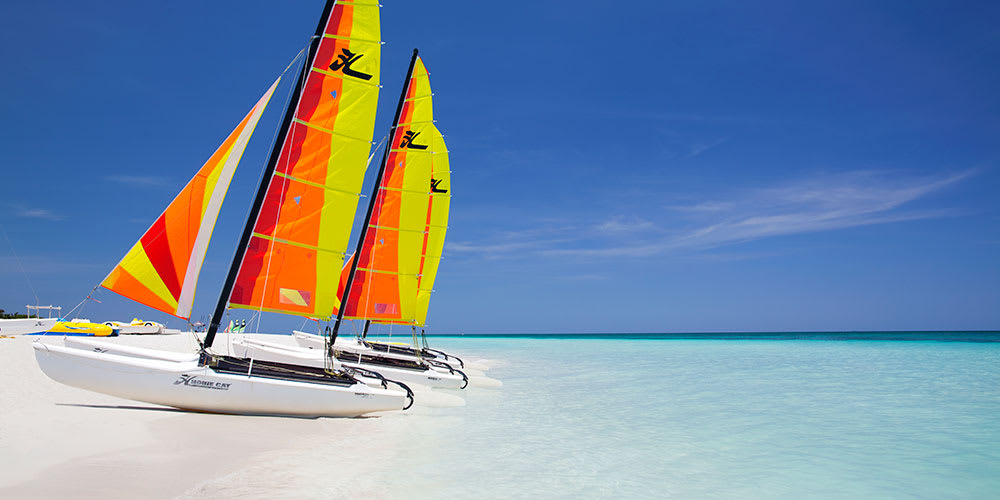 Crociera del Sole e bagno interattivo con i delfini