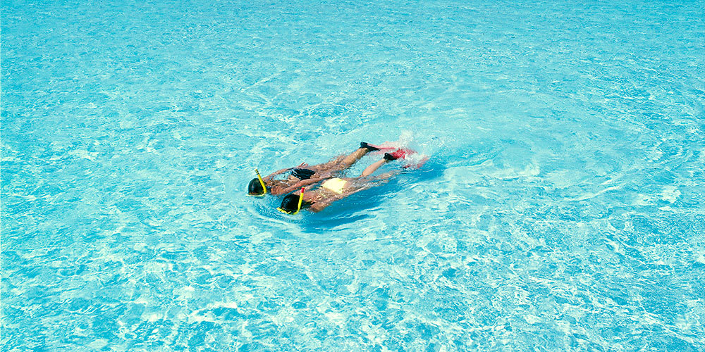 Crociera del Sole e bagno interattivo con i delfini