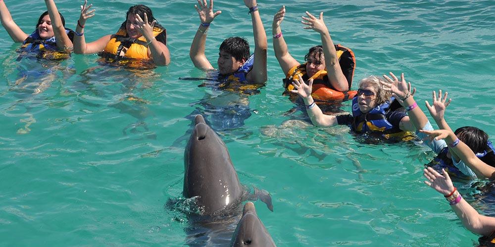 Crociera del Sole e bagno interattivo con i delfini